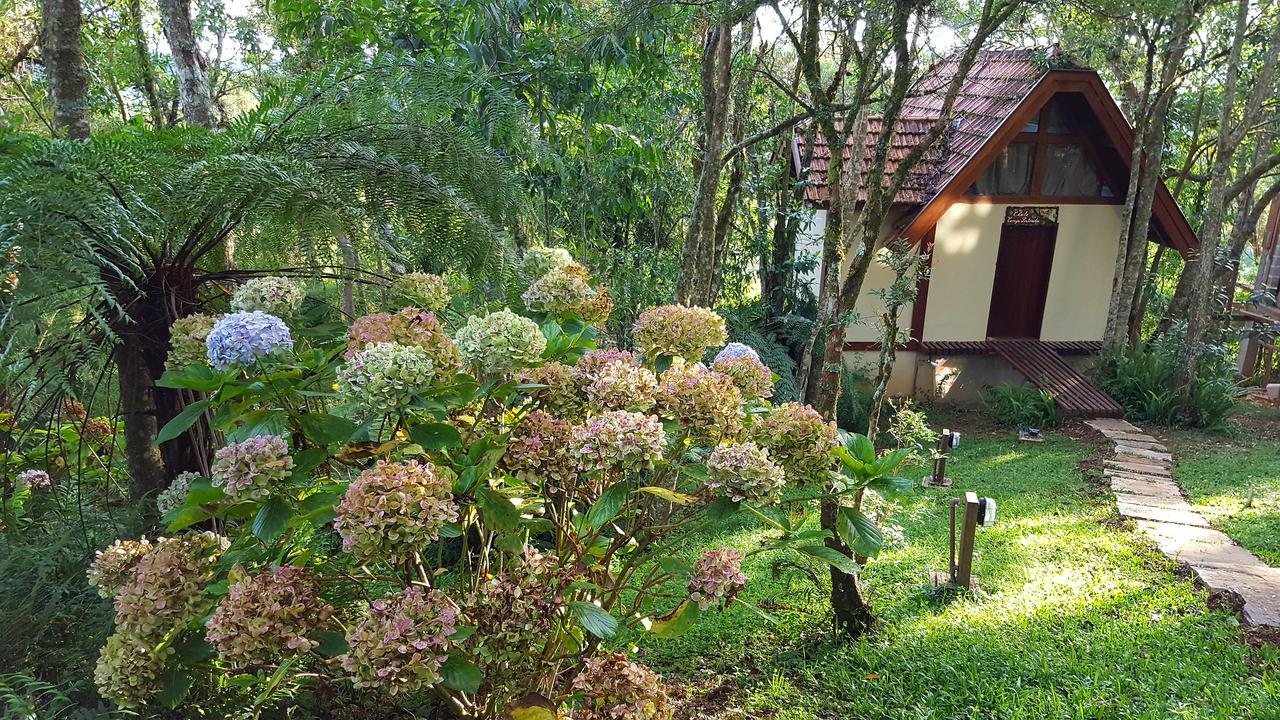 Chale Coruja Listrada - Ninho Das Aves Campos do Jordão Eksteriør billede